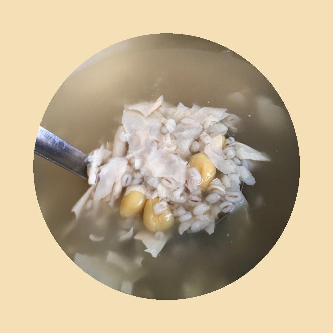 Barley Bean Curd With Gingko Nuts | 白果薏米汤